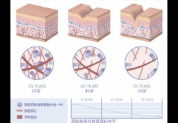 水潤皮膚的秘密武器，乙酰殼糖胺和透明質(zhì)酸的甜蜜聯(lián)盟！